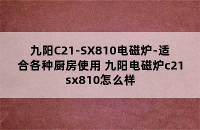 九阳C21-SX810电磁炉-适合各种厨房使用 九阳电磁炉c21sx810怎么样